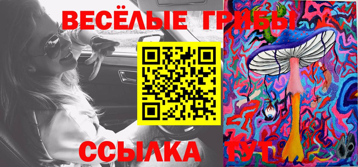 Зеленогорск  Псилоцибиновые грибы мухоморы  Галлюциногенные грибы Magic Shrooms  Вход с VPN 